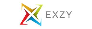 Solution Engineer