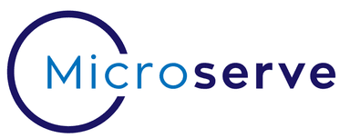 Presales Engineer (Government Projects)