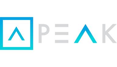 Business Intelligence Executive