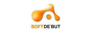 Software Tester
